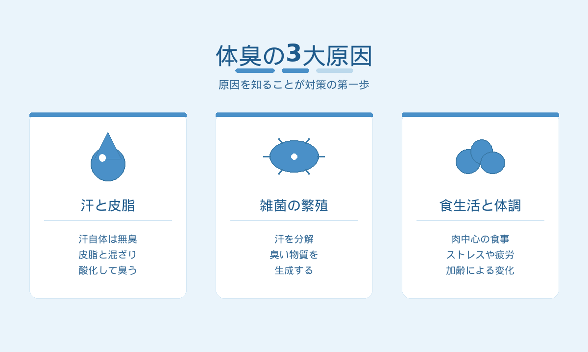 体臭の3大原因|汗と皮脂・雑菌の繁殖・食生活と体調の関係