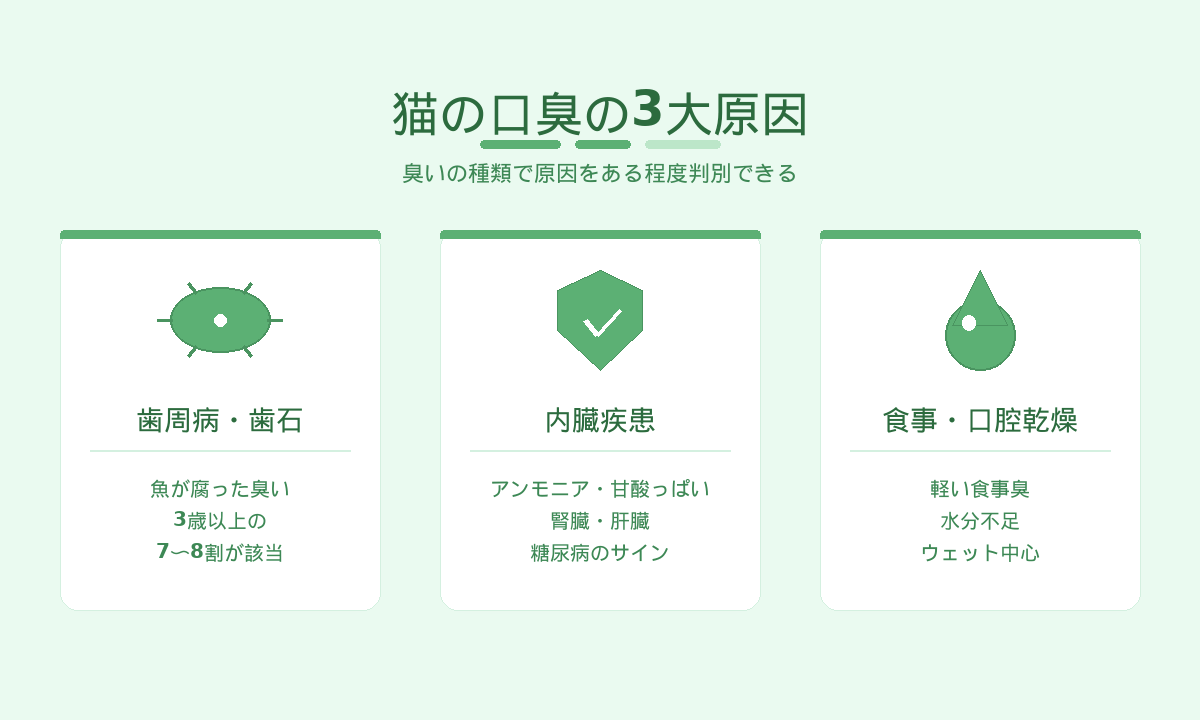 猫の口臭の3大原因｜歯周病・歯石・内臓疾患・食事や口腔乾燥の見分け方