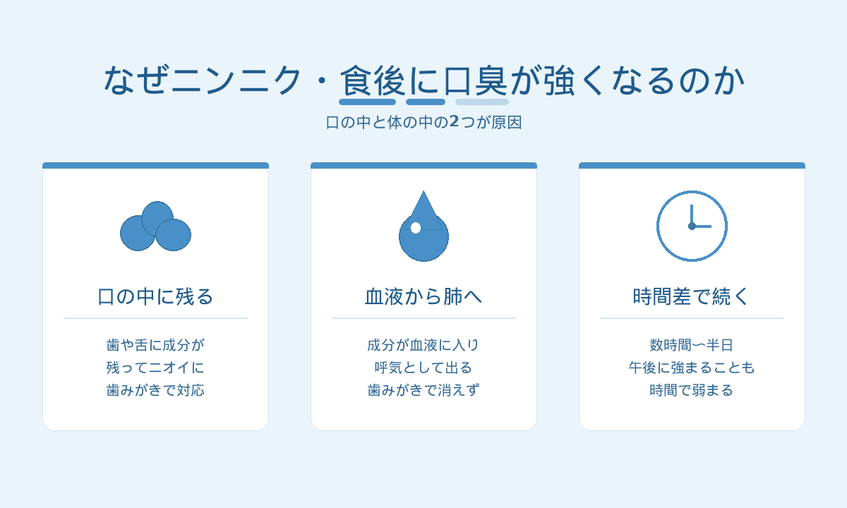 なぜニンニク・食後に口臭が強くなるのか｜口の中に残る・血液から肺・時間差