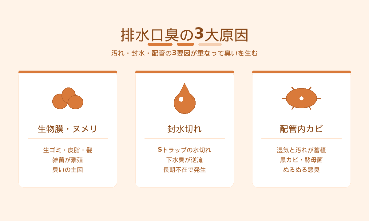 排水口臭の3大原因|生物膜・封水切れ・配管カビが重なって悪臭を生む