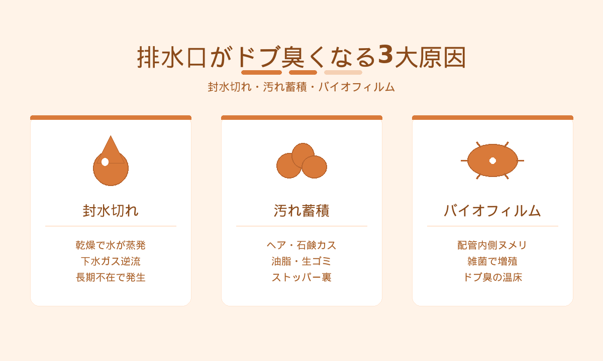 排水口がドブ臭くなる3大原因|封水切れ・汚れ蓄積・バイオフィルムのトリプル要因