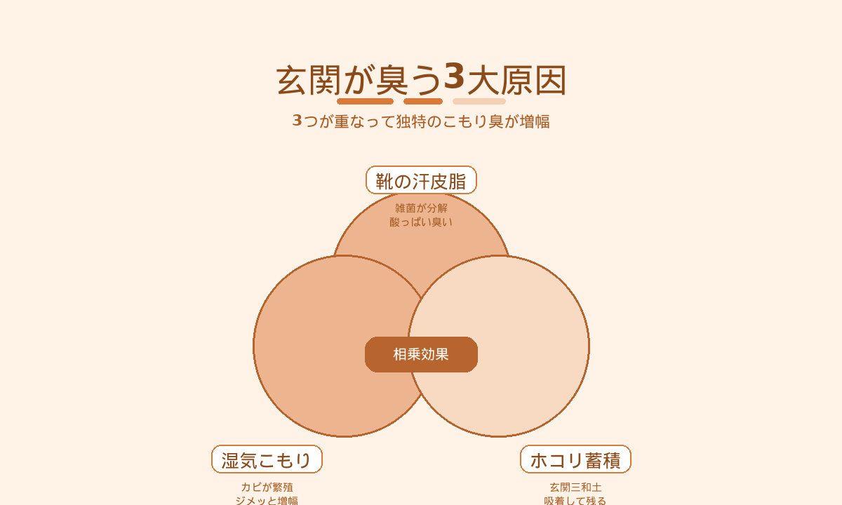 玄関が臭う3大原因のベン図｜靴の汗皮脂・湿気こもり・ホコリ蓄積が重なって独特のこもり臭が発生する仕組み