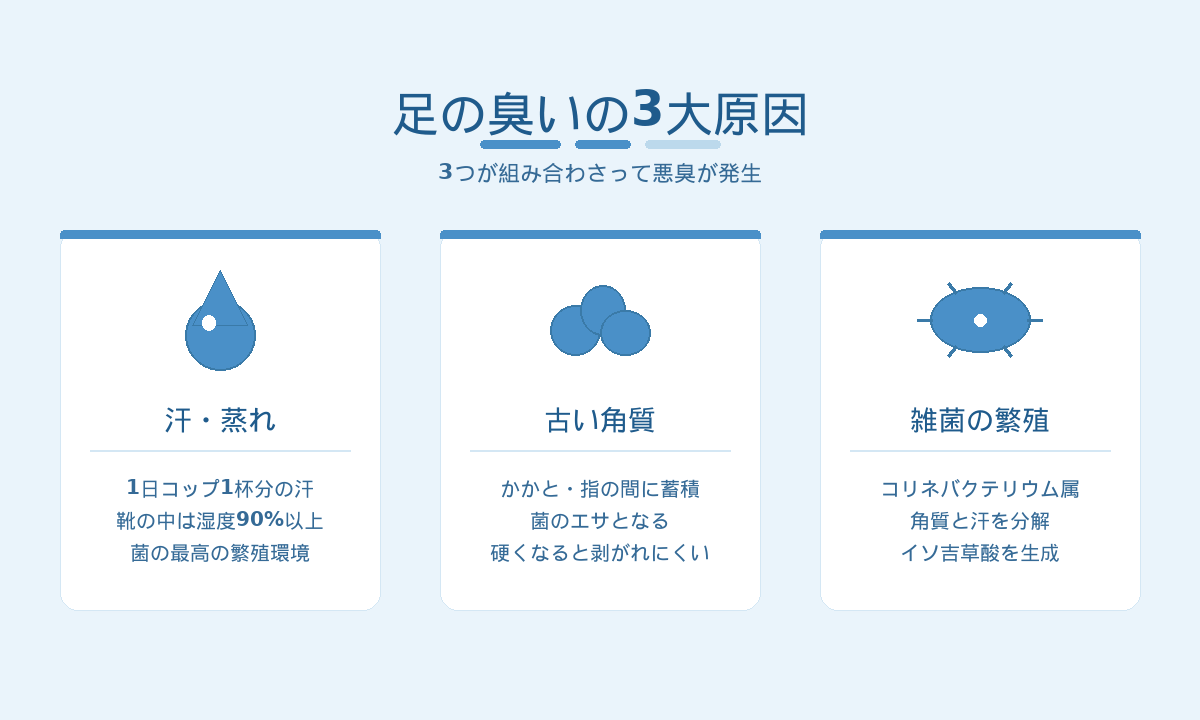 足の臭いの3大原因|汗・古い角質・雑菌の繁殖が組み合わさり発生する仕組み
