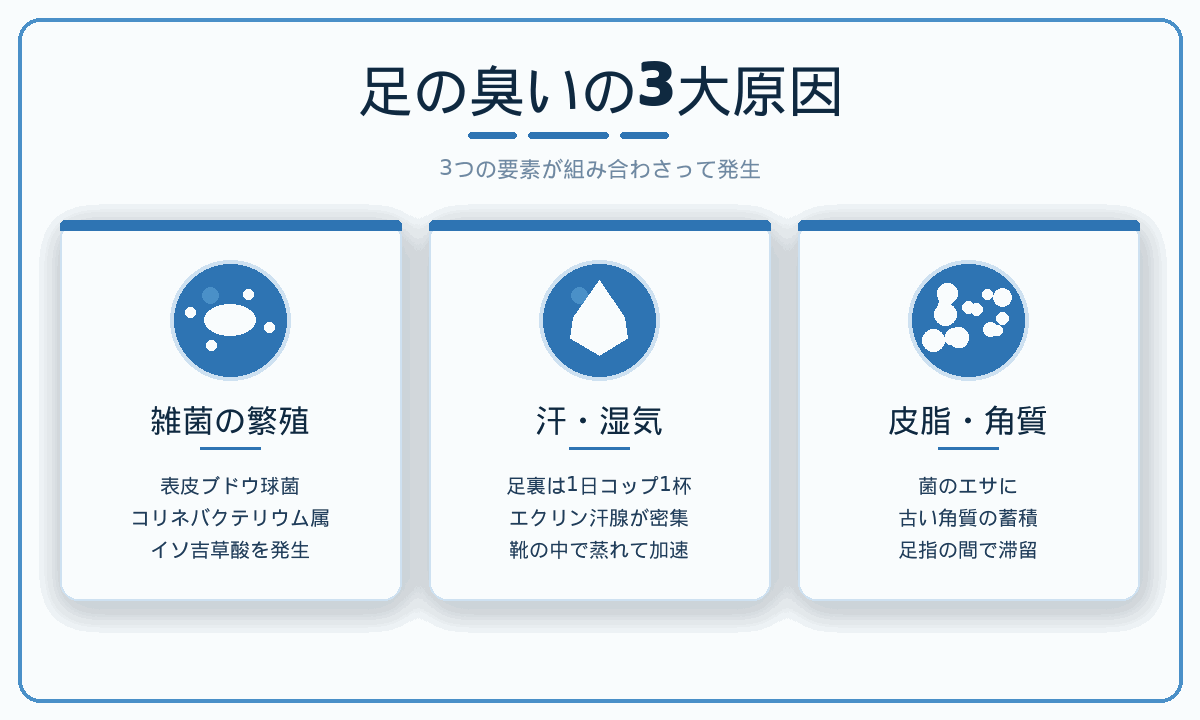 足の臭いの3大原因｜雑菌の繁殖・汗と湿気・皮脂と角質が組み合わさるメカニズム