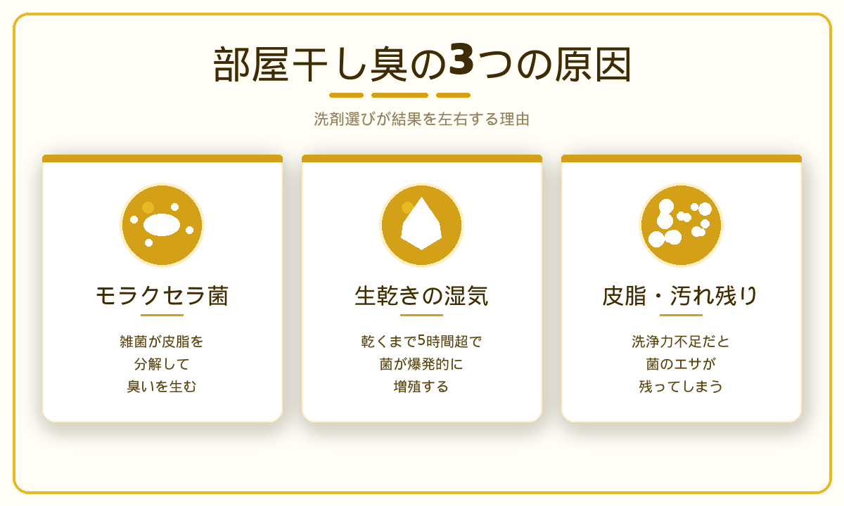 部屋干し臭の3つの原因｜モラクセラ菌・生乾きの湿気・皮脂残りが洗剤選びを左右する理由