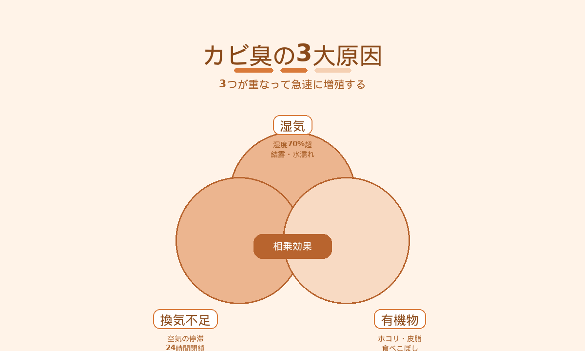 カビ臭の3大原因図解｜湿気・換気不足・有機物の3要素が重なって急速に増殖する仕組み