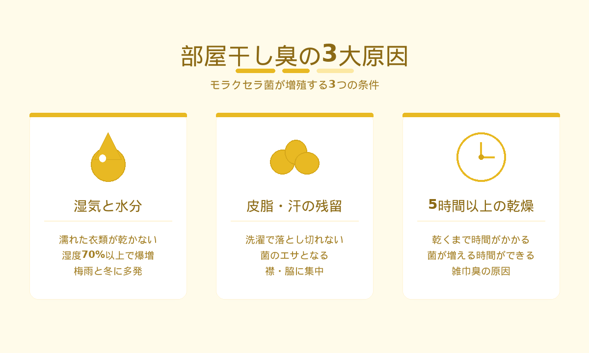 部屋干し臭の3大原因|モラクセラ菌が増殖する湿気・皮脂・乾燥時間の条件