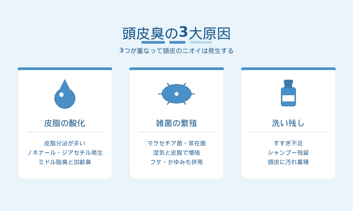 頭皮臭の3大原因|皮脂酸化・雑菌繁殖・洗い残しが重なって発生する仕組み
