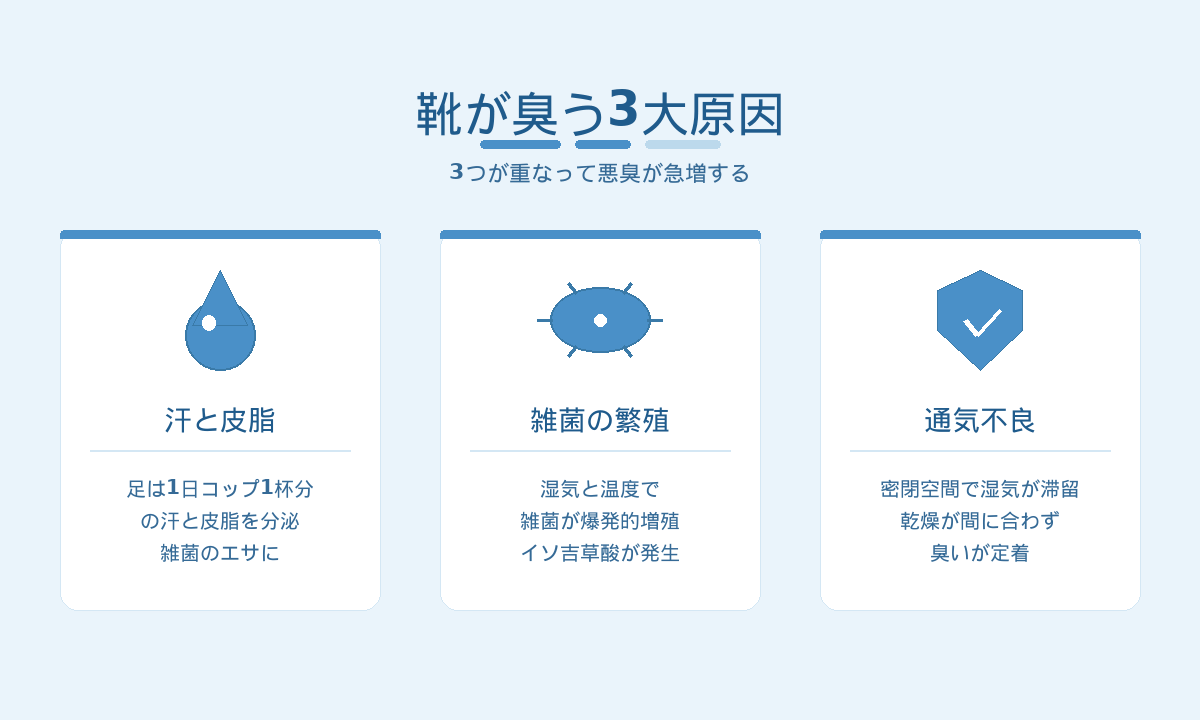 靴が臭う3大原因｜汗と皮脂・雑菌の繁殖・通気不良が重なって発生する仕組み