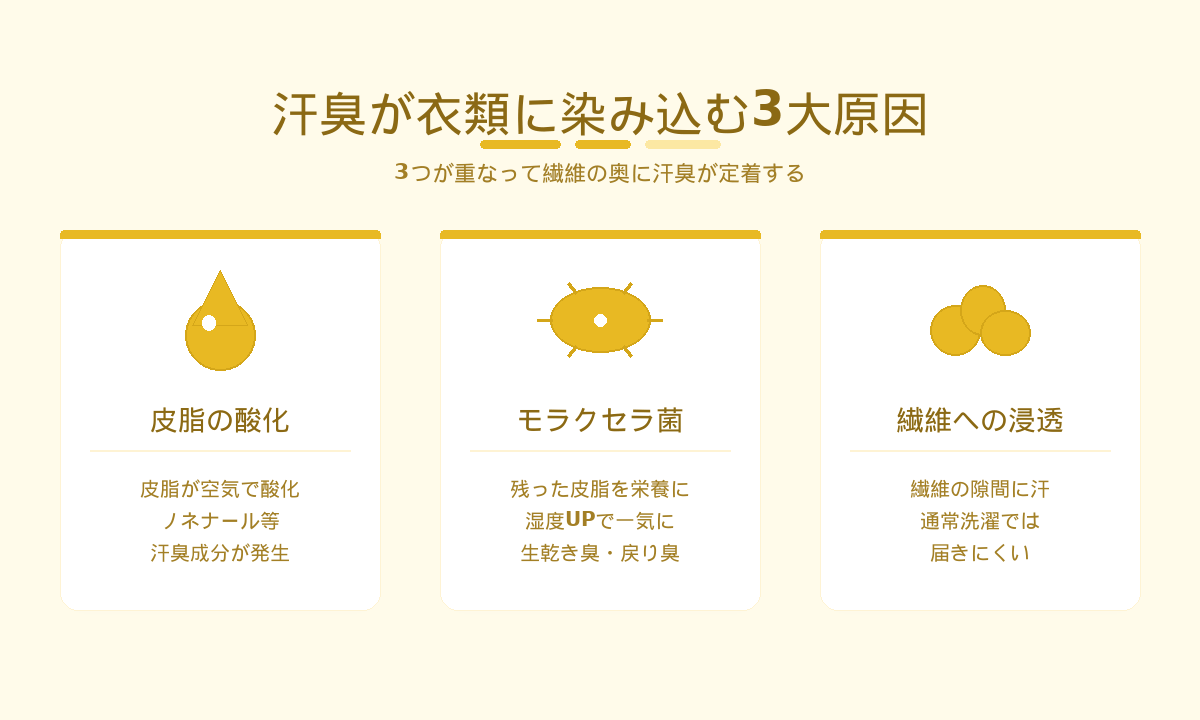 汗臭が衣類に染み込む3大原因|皮脂酸化・モラクセラ菌・繊維への浸透の重なりを図解