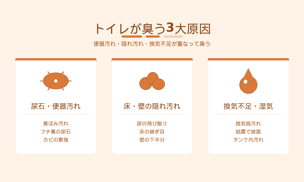 トイレが臭う3大原因｜尿石・床壁の隠れ汚れ・換気不足の影響を整理