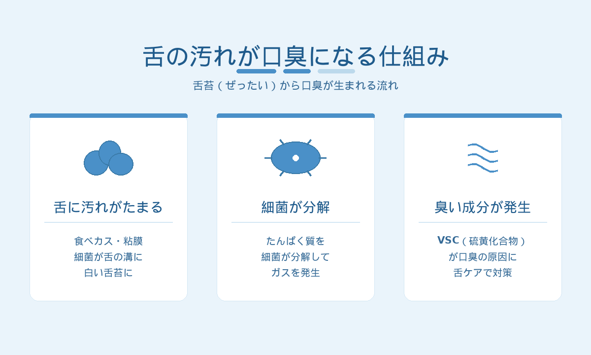 舌の汚れが口臭になる仕組み｜舌苔の細菌がVSC（揮発性硫黄化合物）を発生させる流れ