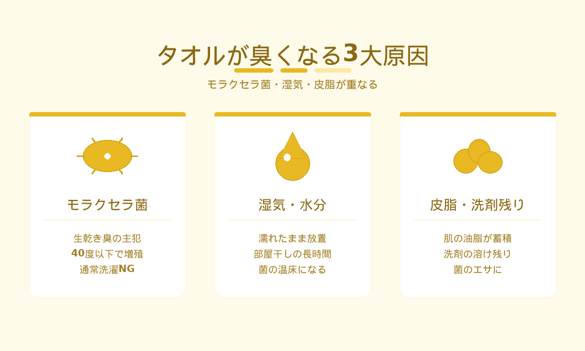 タオルが臭くなる3大原因｜モラクセラ菌・湿気・皮脂が重なる仕組み
