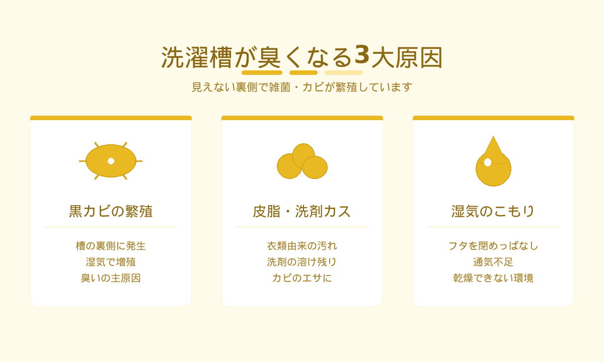洗濯槽が臭くなる3大原因｜黒カビの繁殖・皮脂と洗剤カス・湿気のこもりが臭いを生む仕組み