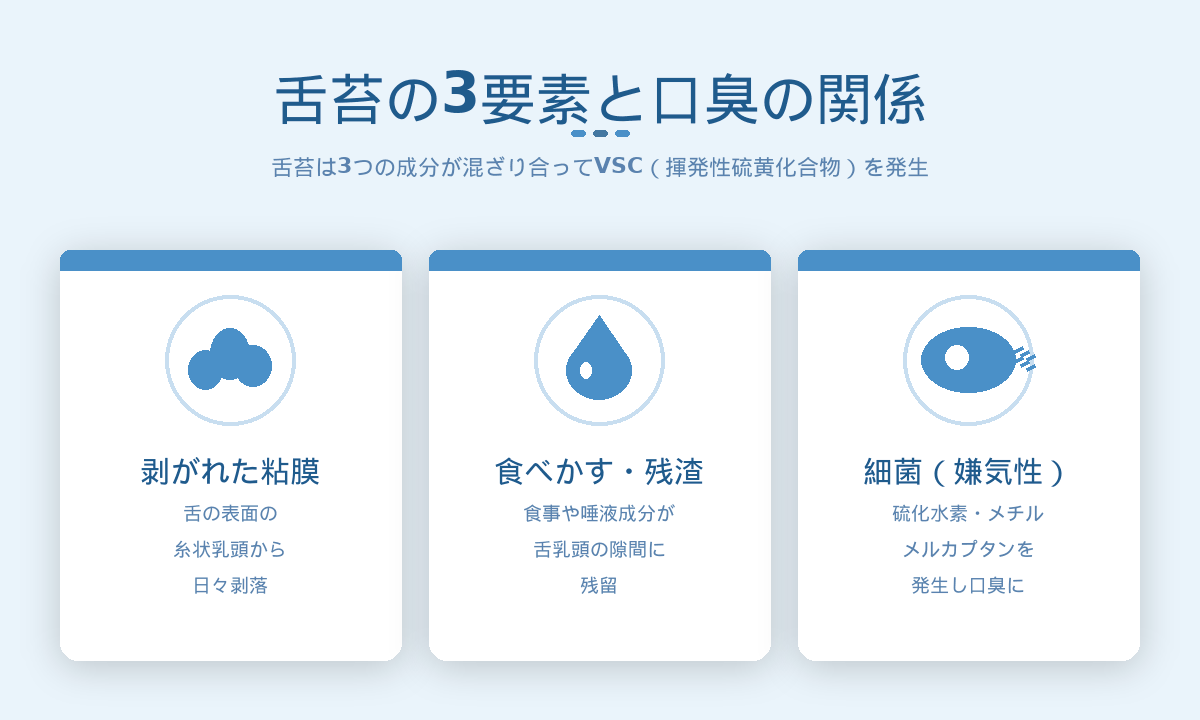 舌苔の3要素と口臭の関係｜剥がれた粘膜・食べかす・嫌気性細菌がVSCを発生させる仕組み