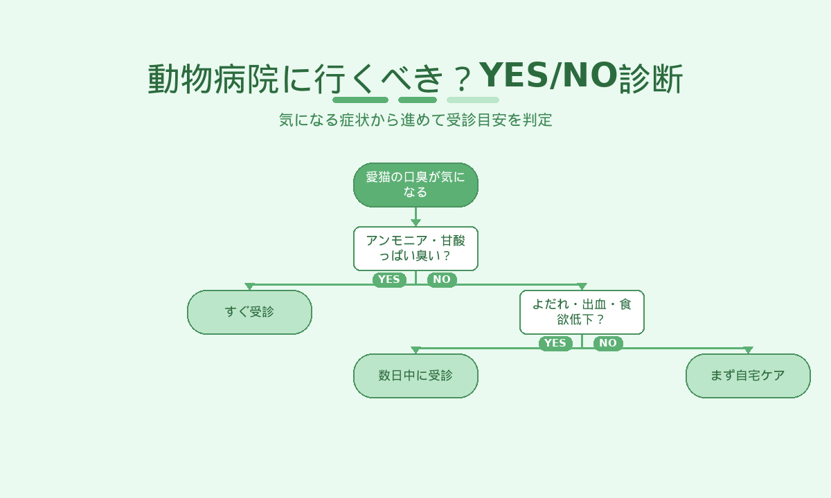 猫の口臭で動物病院に行くべきかYES/NO診断｜受診タイミングの見極めフローチャート