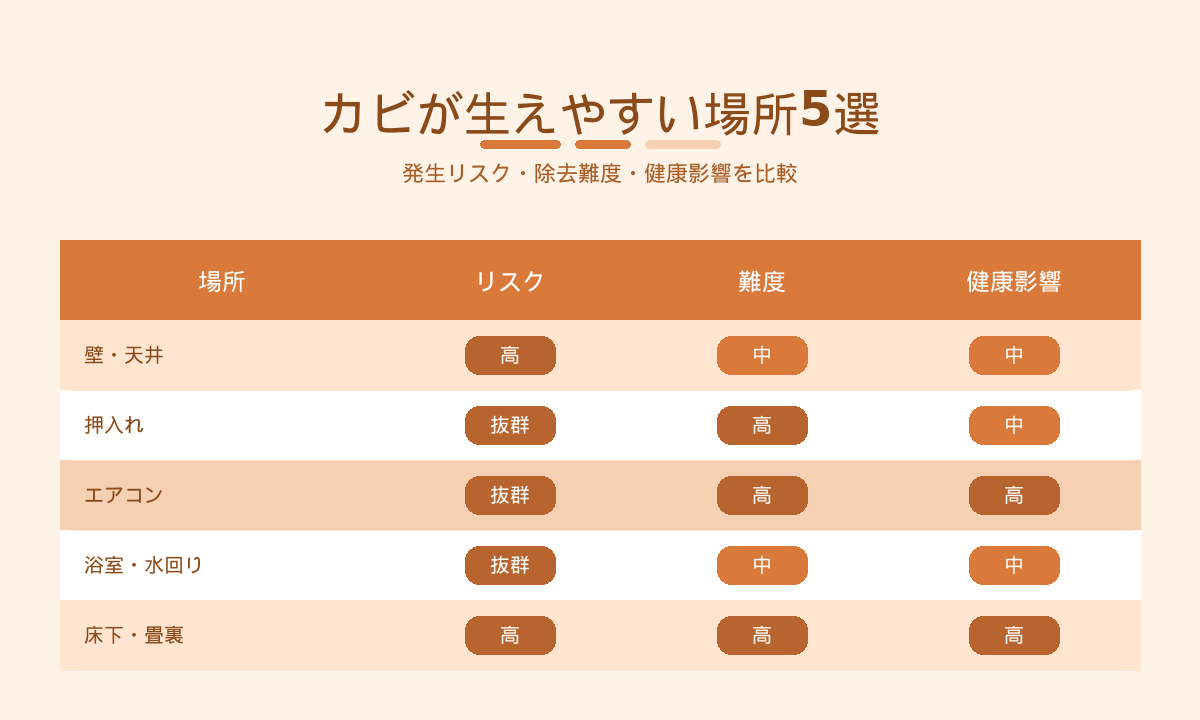 カビが生えやすい場所5選｜壁・押入れ・エアコン・浴室・床下のリスク・難度・健康影響を比較