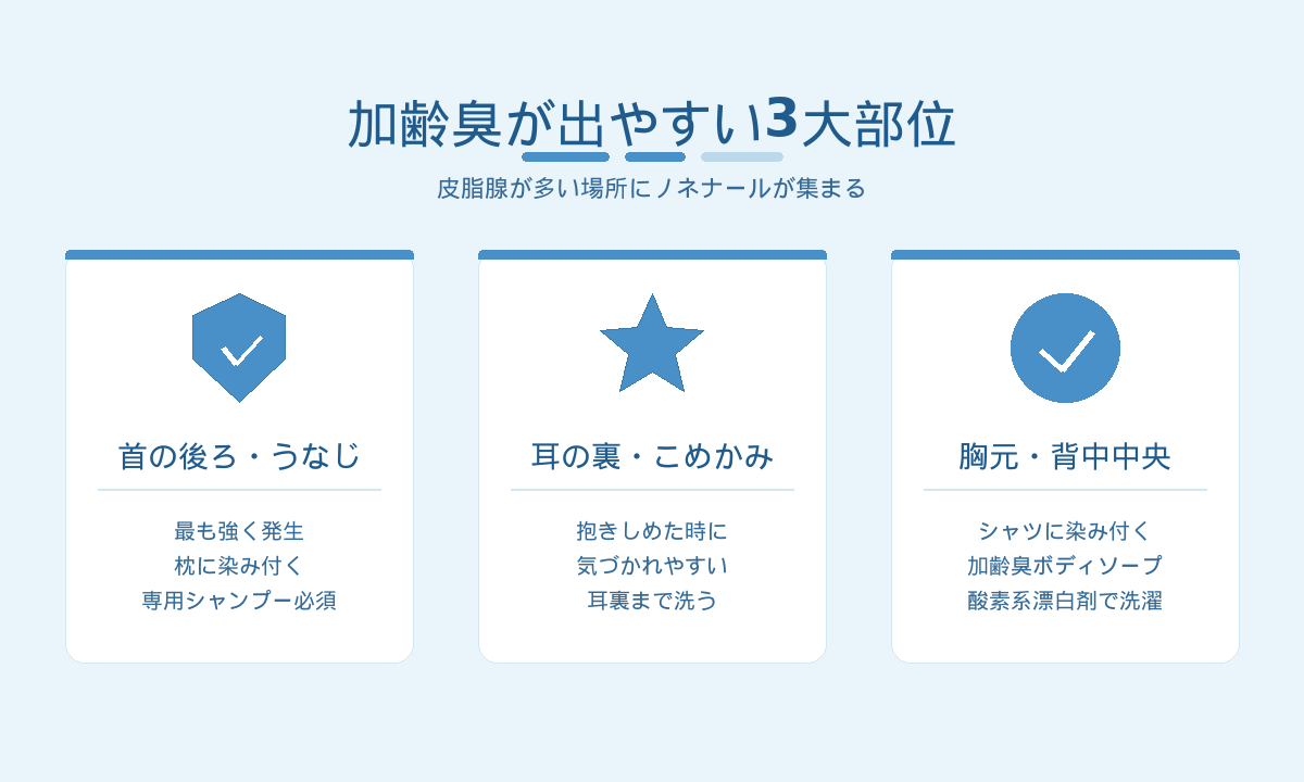 加齢臭が出やすい3大部位｜首の後ろ・耳の裏・胸元と背中中央の皮脂腺が多い場所