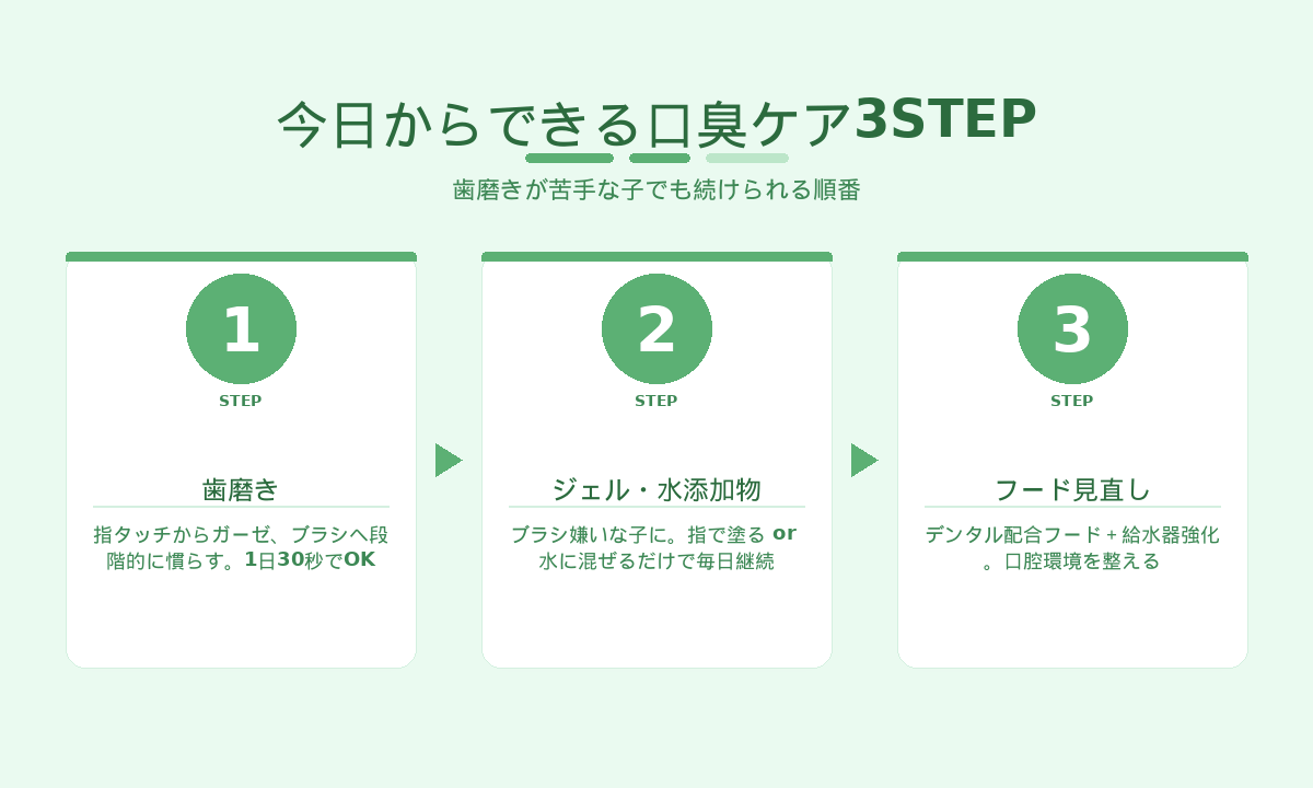 猫の口臭ケア3STEP｜歯磨き・デンタルジェル・フード見直しで自宅でできるケア手順