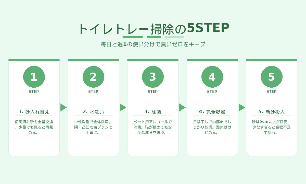 トイレトレー掃除の5STEP｜砂入替・水洗い・除菌・乾燥・新砂投入の正しい順序