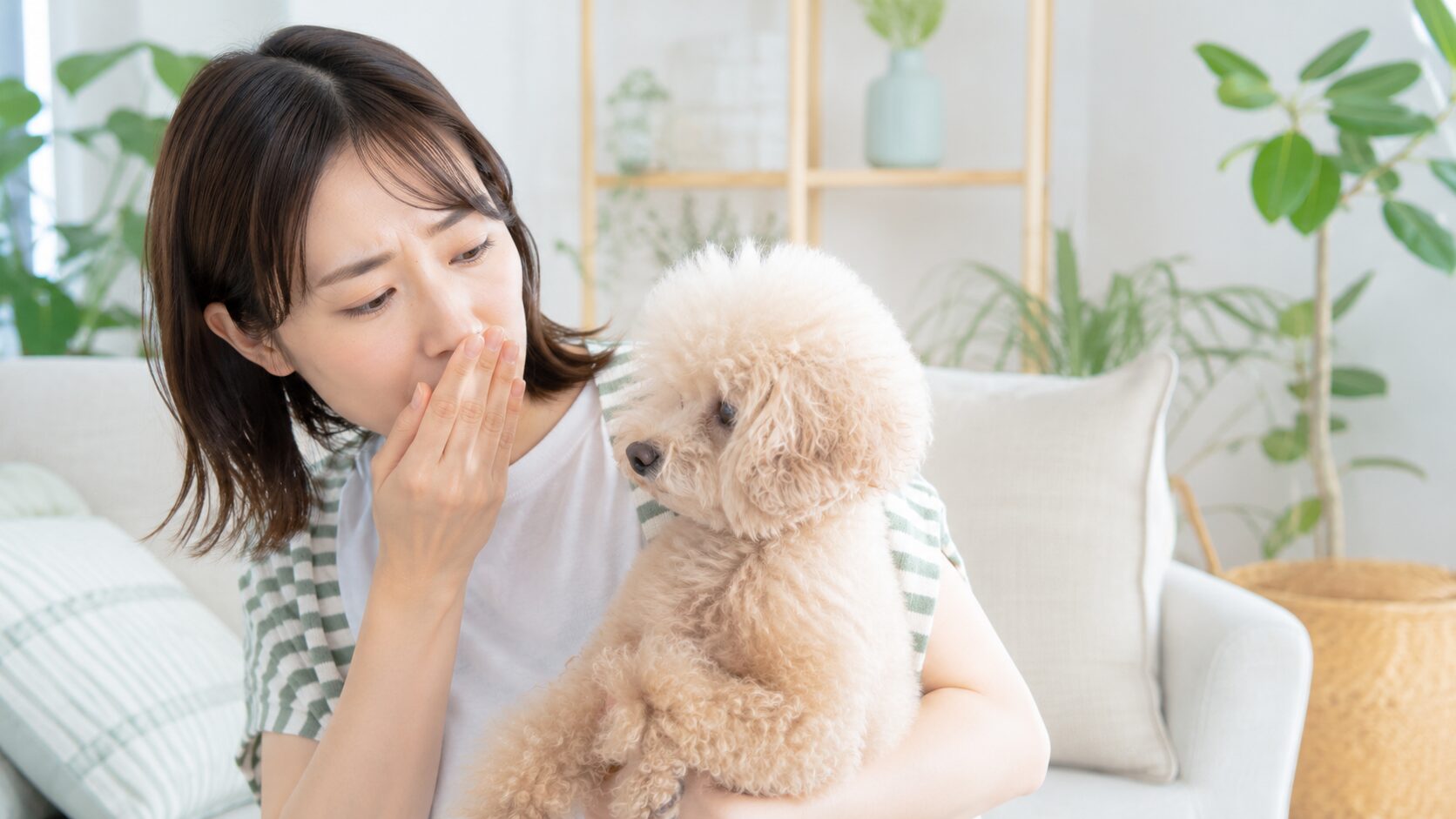 ペットのニオイが気になる飼い主｜犬猫と暮らす家の消臭ケアイメージ