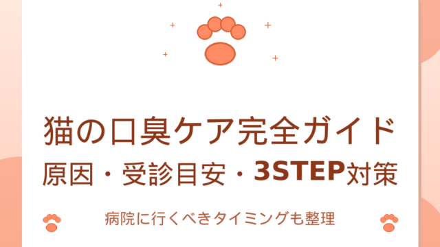 猫の口臭ケア完全ガイド｜原因・受診目安・自宅3STEPを徹底解説