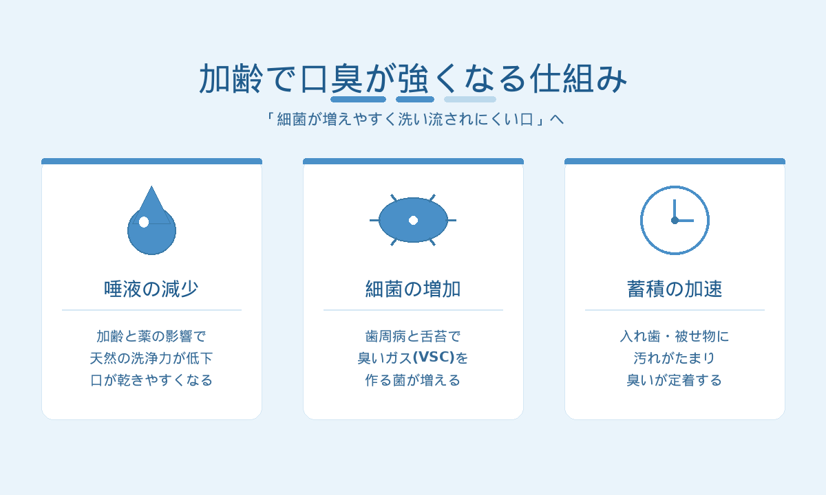 加齢で口臭が強くなる仕組み｜唾液の減少・細菌の増加・入れ歯への蓄積