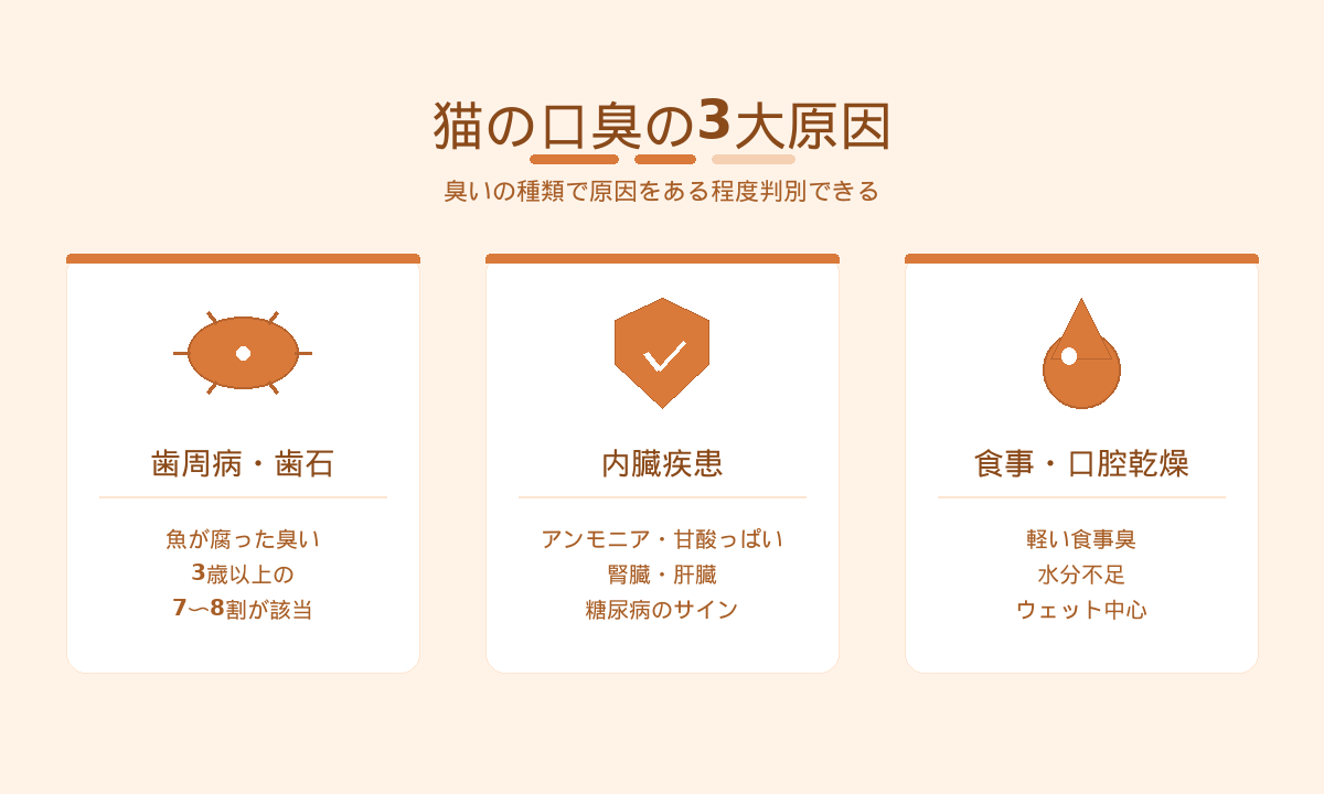 猫の口臭の3大原因｜歯周病・歯石・内臓疾患・食事や口腔乾燥の見分け方