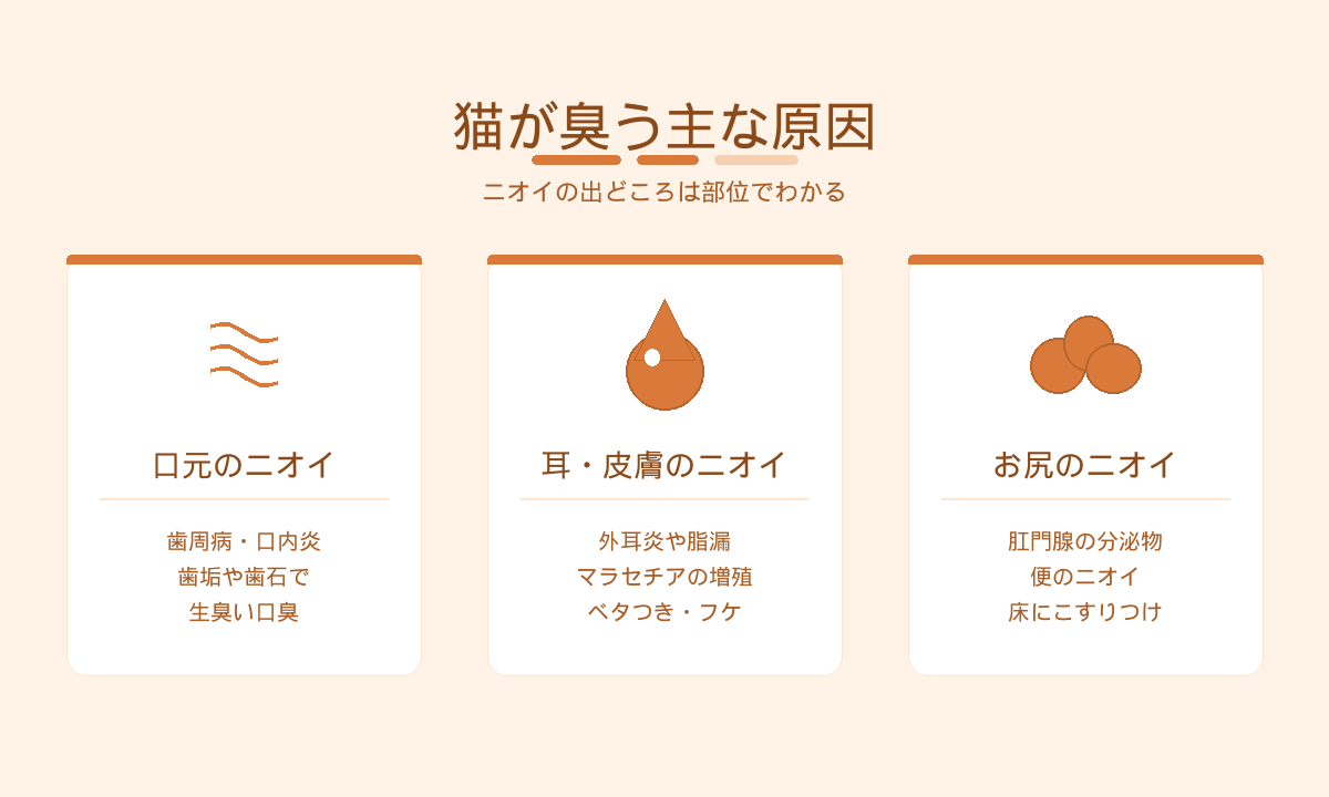 猫が臭う主な原因｜口元・耳や皮膚・お尻の部位別ニオイ
