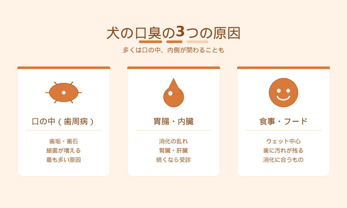 犬の口臭の3大原因｜歯周病・口腔トラブル・胃腸や内臓の不調が招くニオイ