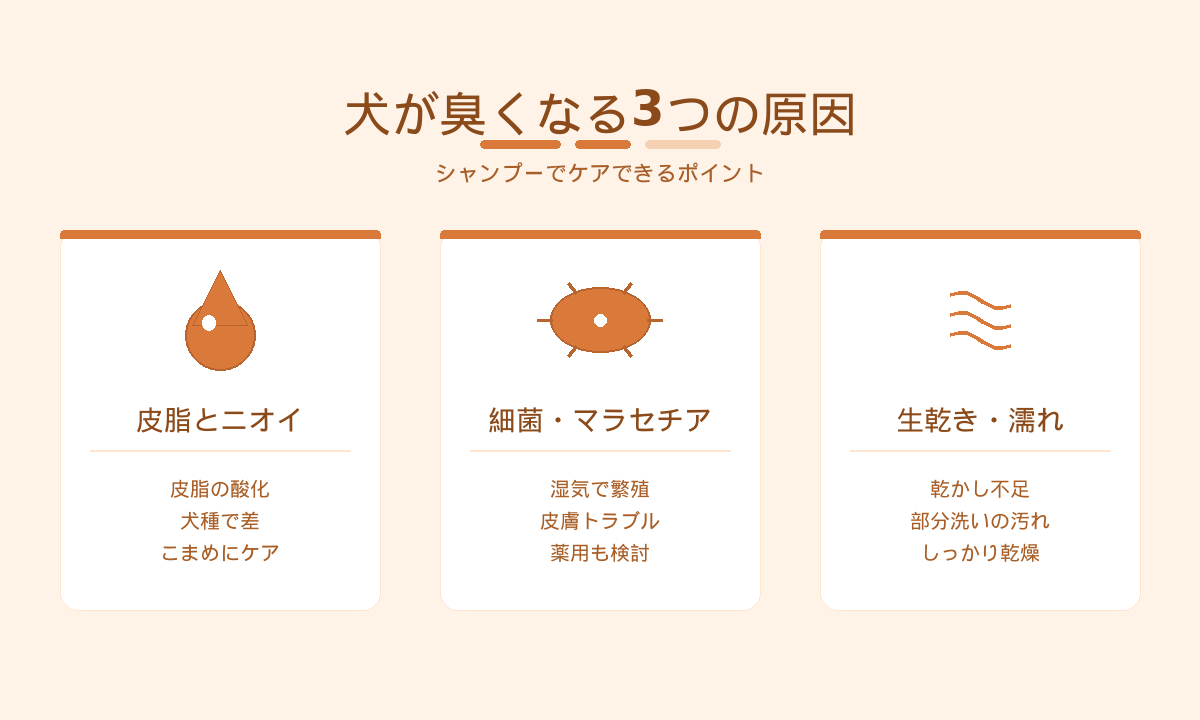 犬が臭くなる3つの原因｜皮脂とニオイ・細菌やマラセチア・生乾き
