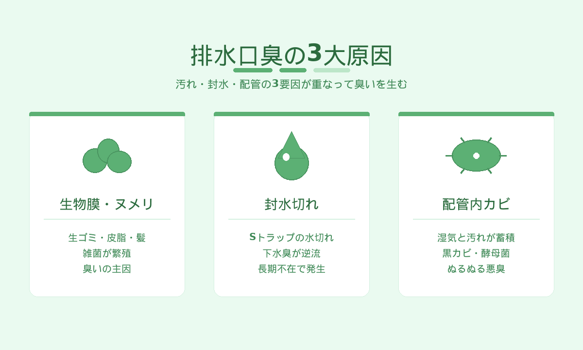 排水口臭の3大原因|生物膜・封水切れ・配管カビが重なって悪臭を生む