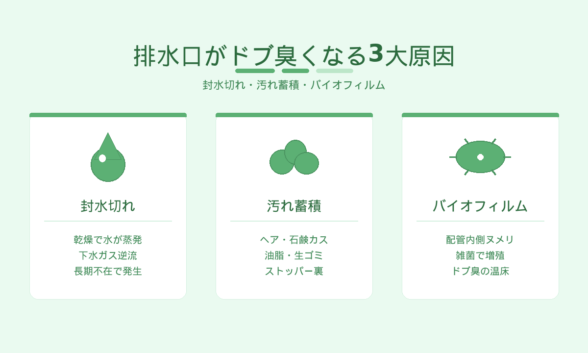 排水口がドブ臭くなる3大原因|封水切れ・汚れ蓄積・バイオフィルムのトリプル要因