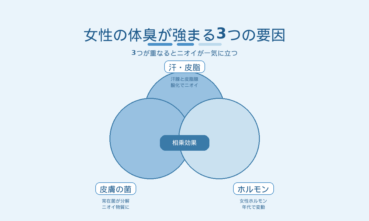 女性の体臭の3要因｜汗・皮脂と皮膚の常在菌と女性ホルモンが重なって強まる仕組み