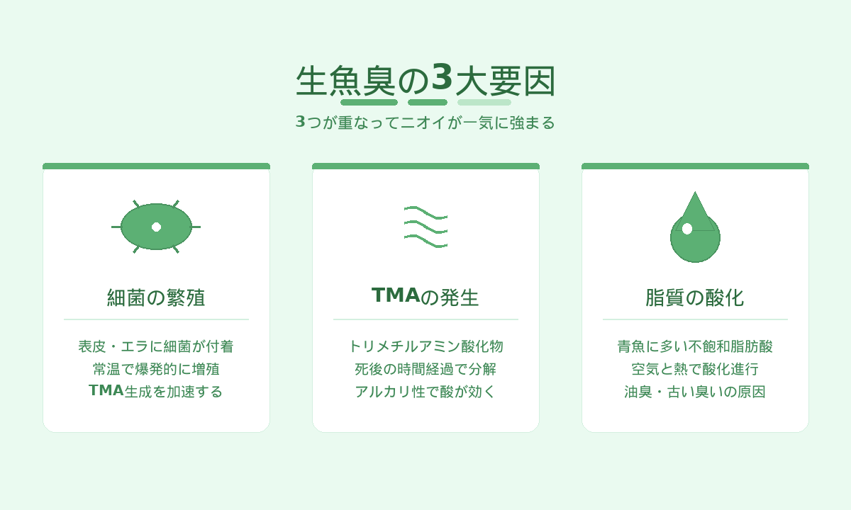 生魚臭の3大要因｜TMA・脂質酸化・細菌繁殖が重なって臭いが強まる仕組み