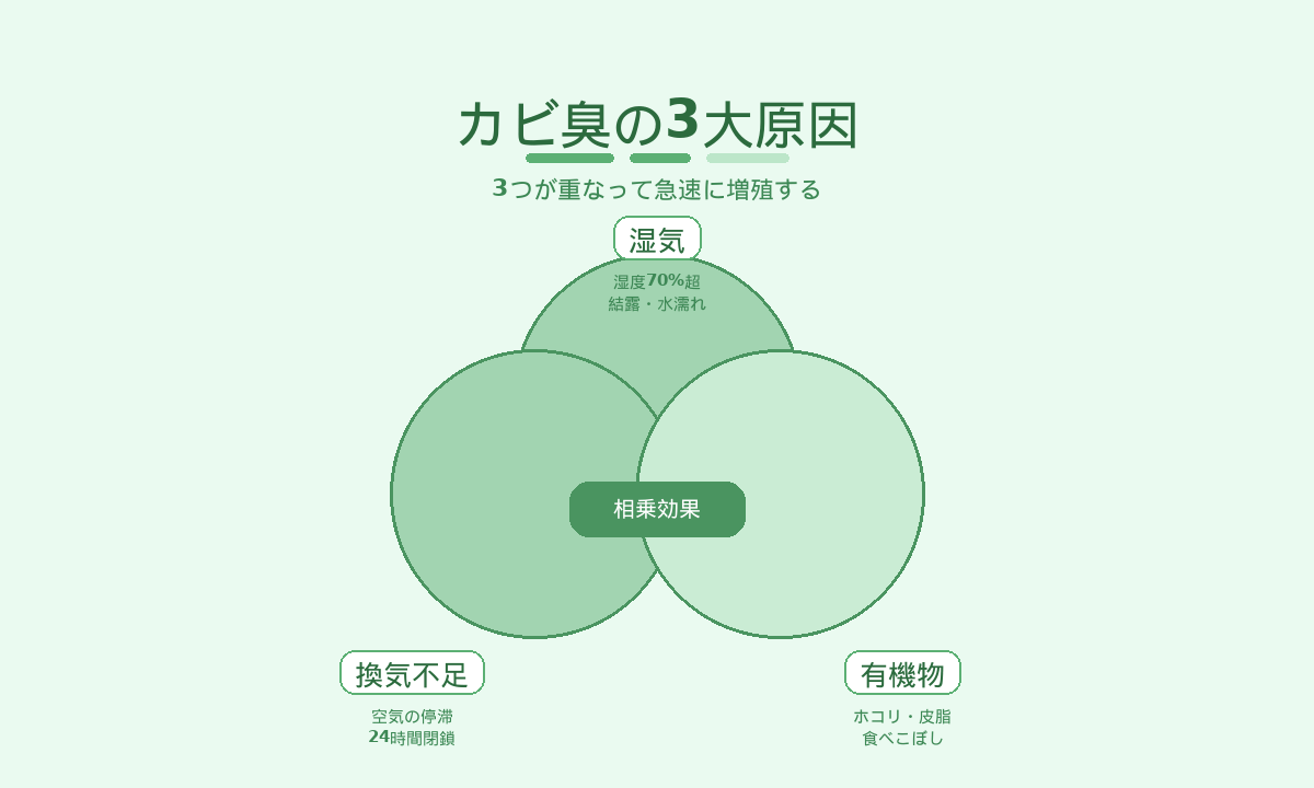 カビ臭の3大原因図解｜湿気・換気不足・有機物の3要素が重なって急速に増殖する仕組み