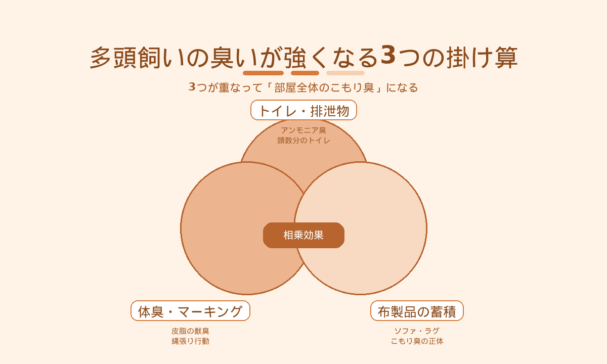 多頭飼いの部屋の臭いが強くなる3つの掛け算｜トイレ排泄物・体臭マーキング・布製品の蓄積の相乗効果