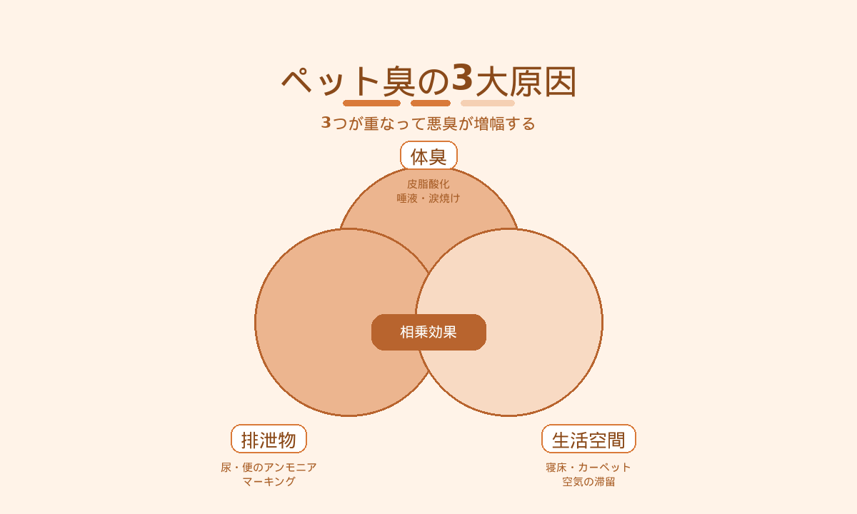 ペット臭の3大原因ベン図｜体臭・排泄物・生活空間が重なって悪臭が増幅する仕組み