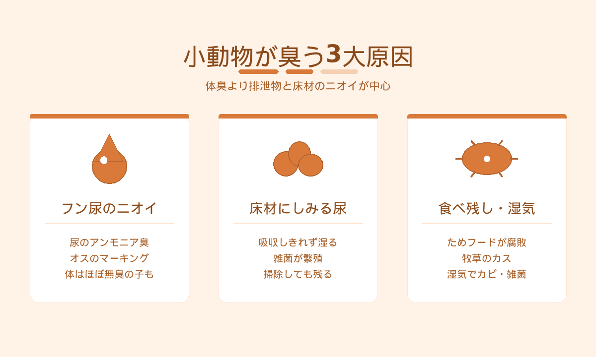 小動物が臭う3大原因｜フン尿のニオイ・床材にしみる尿・食べ残しや湿気がニオイを作る