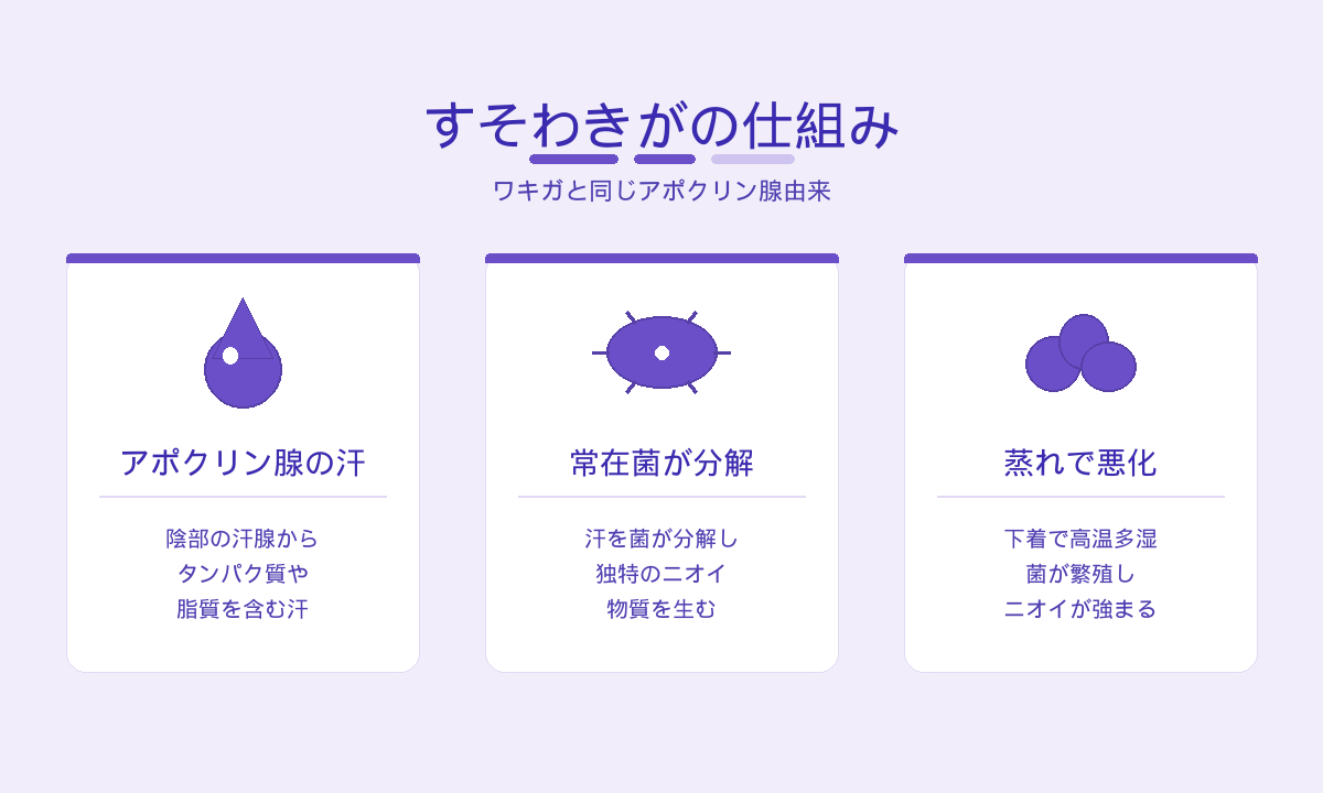 すそわきがの仕組み｜アポクリン腺の汗を常在菌が分解し蒸れで悪化