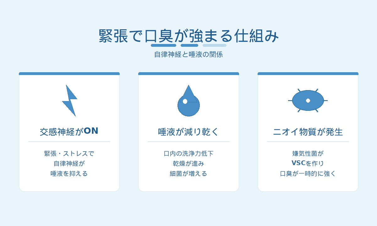 緊張で口臭が強まる仕組み｜交感神経で唾液が減り嫌気性菌がVSCを発生