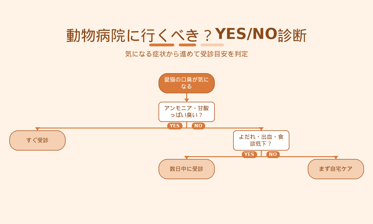 猫の口臭で動物病院に行くべきかYES/NO診断｜受診タイミングの見極めフローチャート