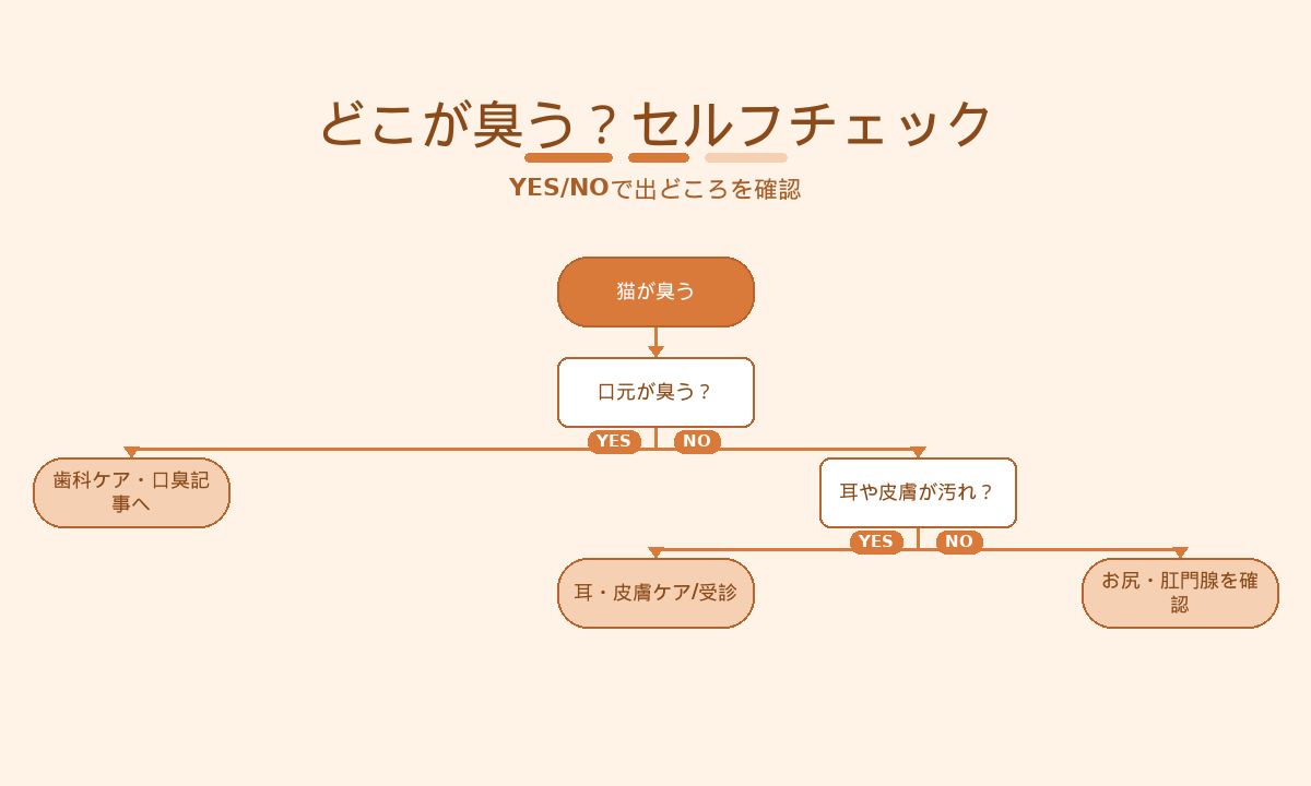 猫の体臭セルフチェック｜口元・耳皮膚・お尻をYES/NOで見分けるフローチャート