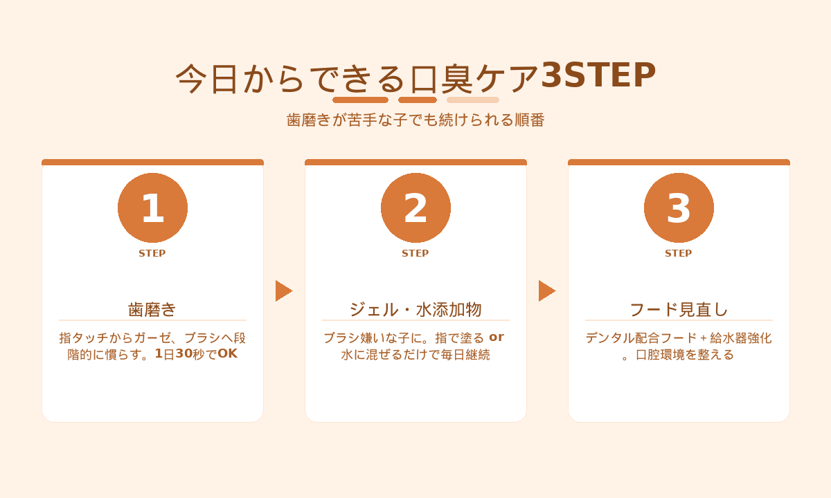 猫の口臭ケア3STEP｜歯磨き・デンタルジェル・フード見直しで自宅でできるケア手順