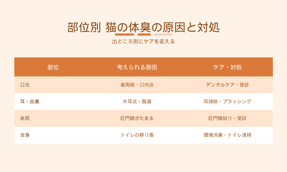 部位別 猫の体臭の原因と対処早見表｜口元・耳皮膚・お尻・全身