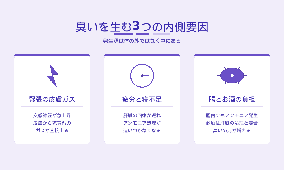 ストレス臭・疲労臭を生む3つの内側要因｜緊張の皮膚ガス・疲労と寝不足・腸とお酒の負担