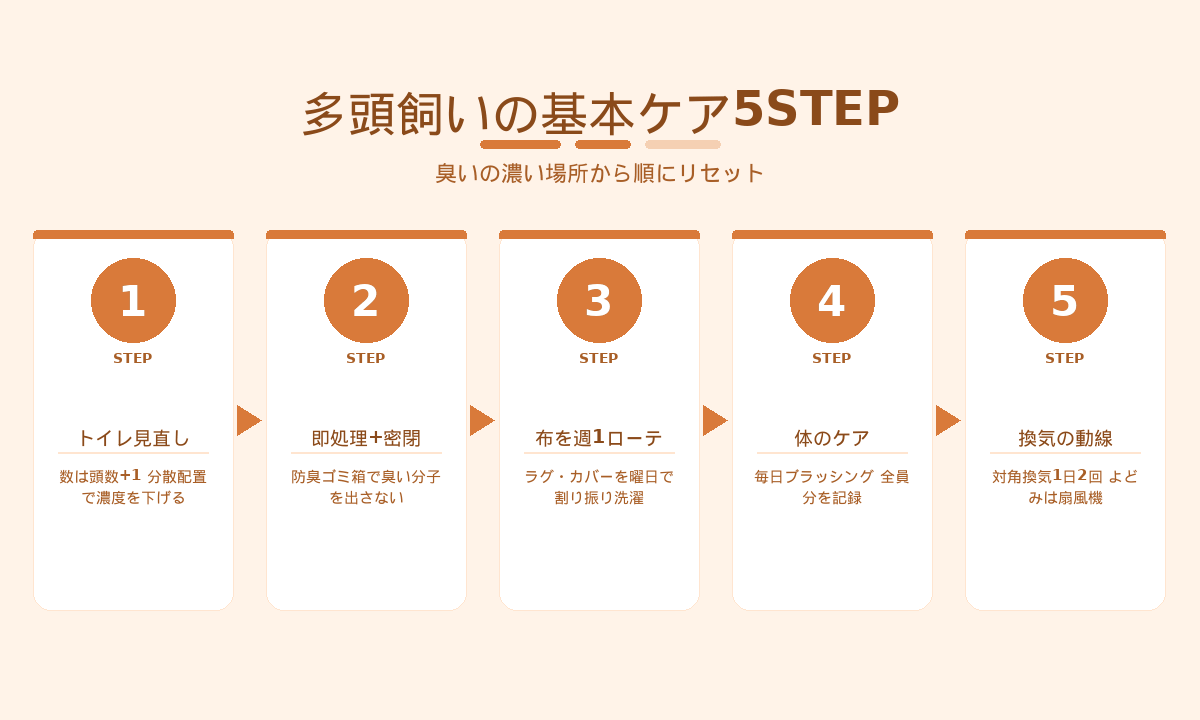 多頭飼いの臭い対策基本ケア5STEP｜トイレ見直し・即処理・布ローテ洗濯・体ケア・換気の動線