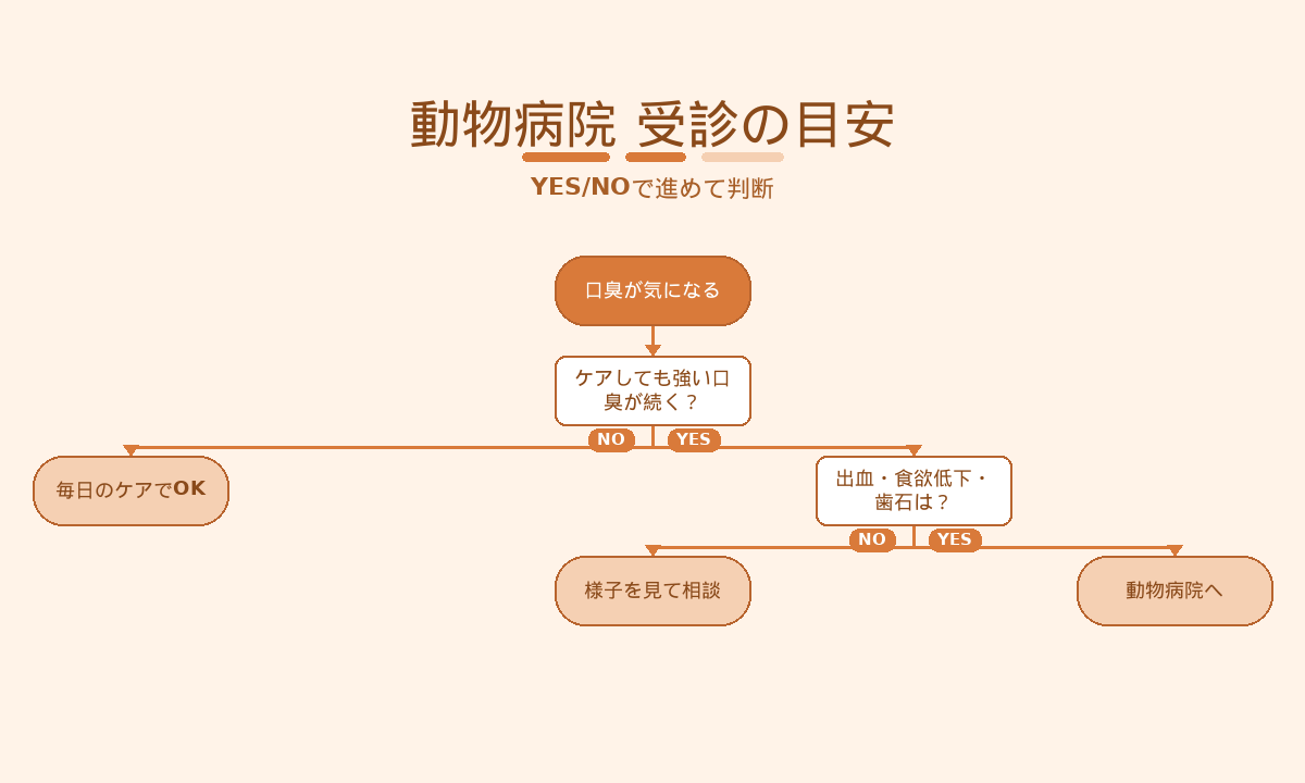 犬の口臭で動物病院を受診する目安｜出血・食欲低下・強い臭いの判断チャート
