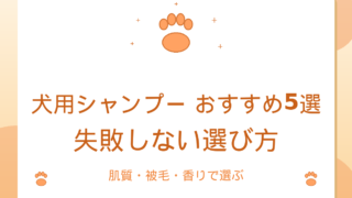 犬用シャンプーおすすめ5選｜失敗しない選び方