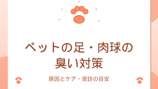 ペットの足・肉球の臭い対策｜原因とケア・受診の目安のアイキャッチ